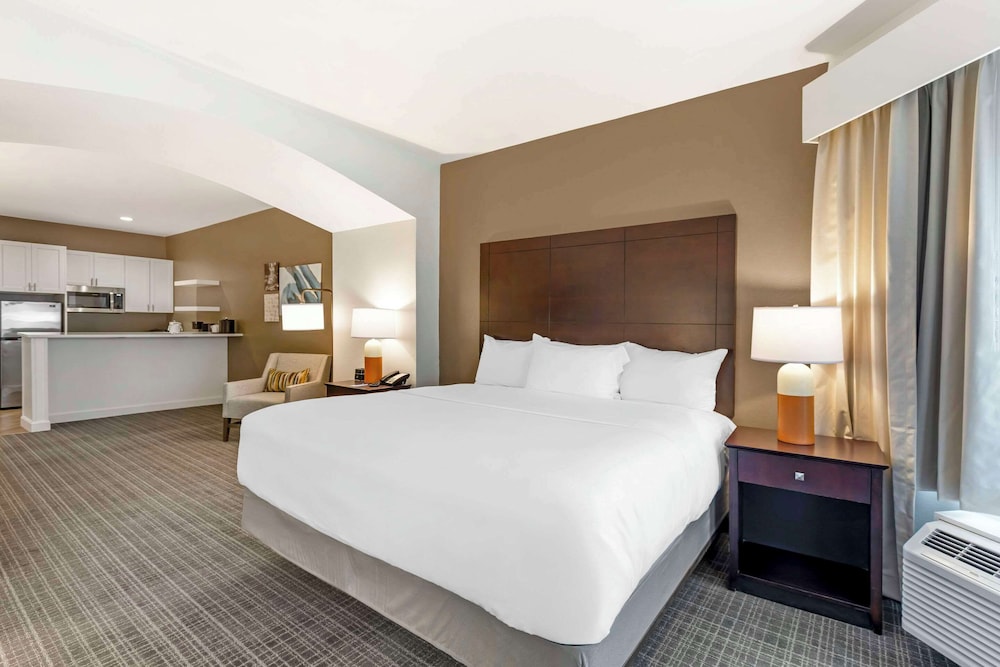 Suite, 1 King Bed with Sofa bed, Non Smoking