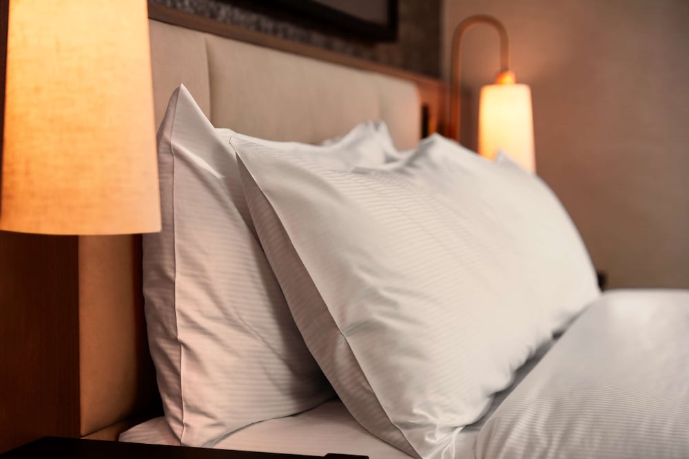 Premium Room, 2 Twin Beds, Park View