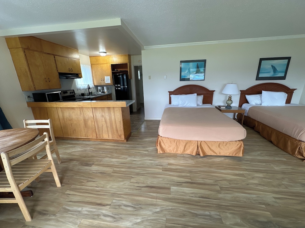 Single Room, 2 Queen Beds, Kitchen photo 1