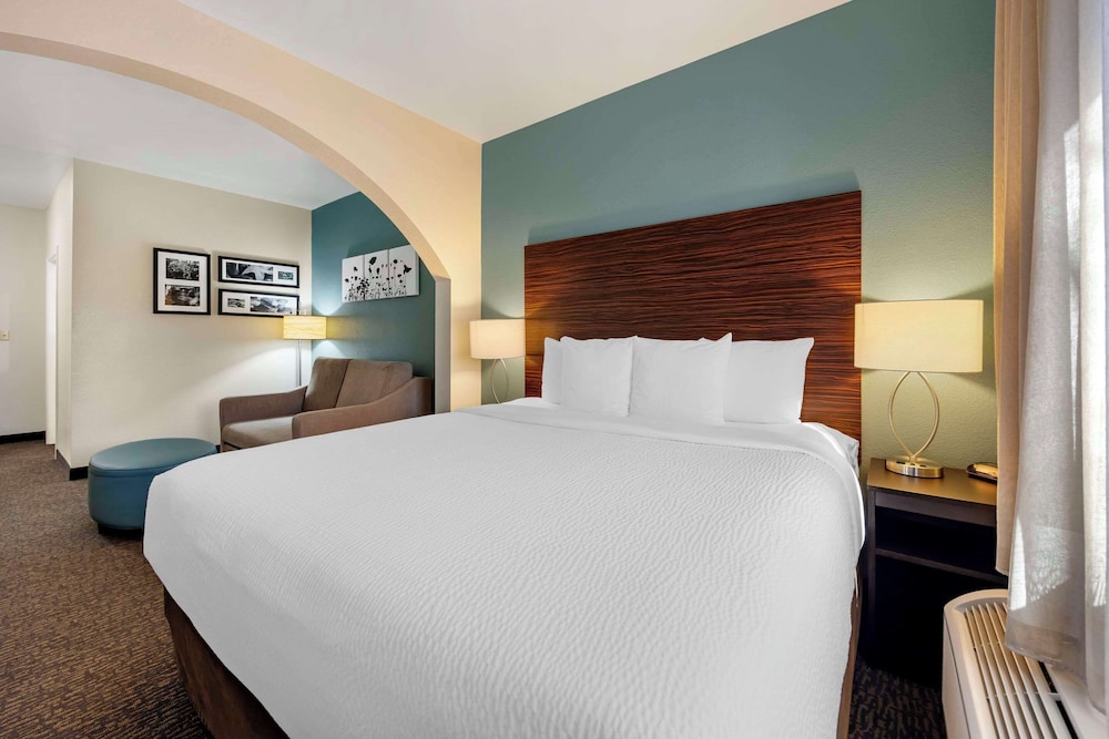 Suite, 1 King Bed, Non Smoking - Photo 1