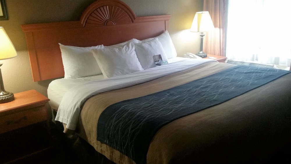 Room, 1 Double Bed, Accessible, Non Smoking (Accessible Tub) photo 2