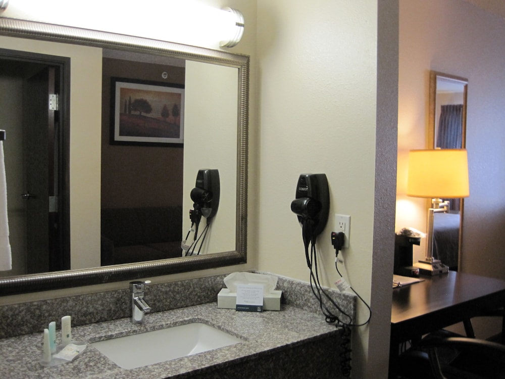 Suite, Non Smoking (1 King Bed and Pull-out Sofa Bed)