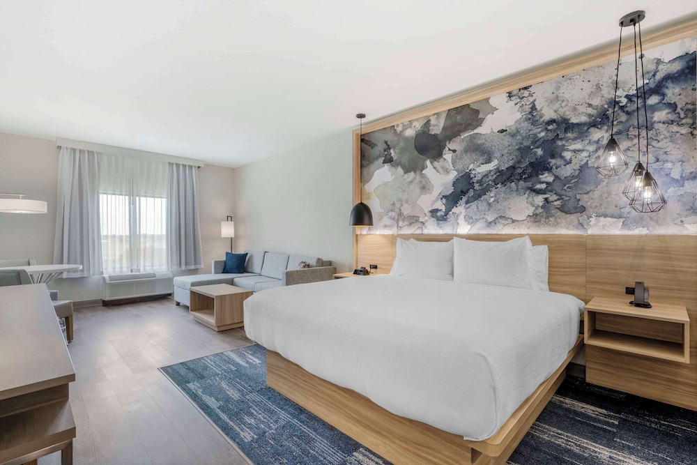 Standard Room, 1 King Bed, Non Smoking (Walk-in Shower;with Sofabed) - Photo 1