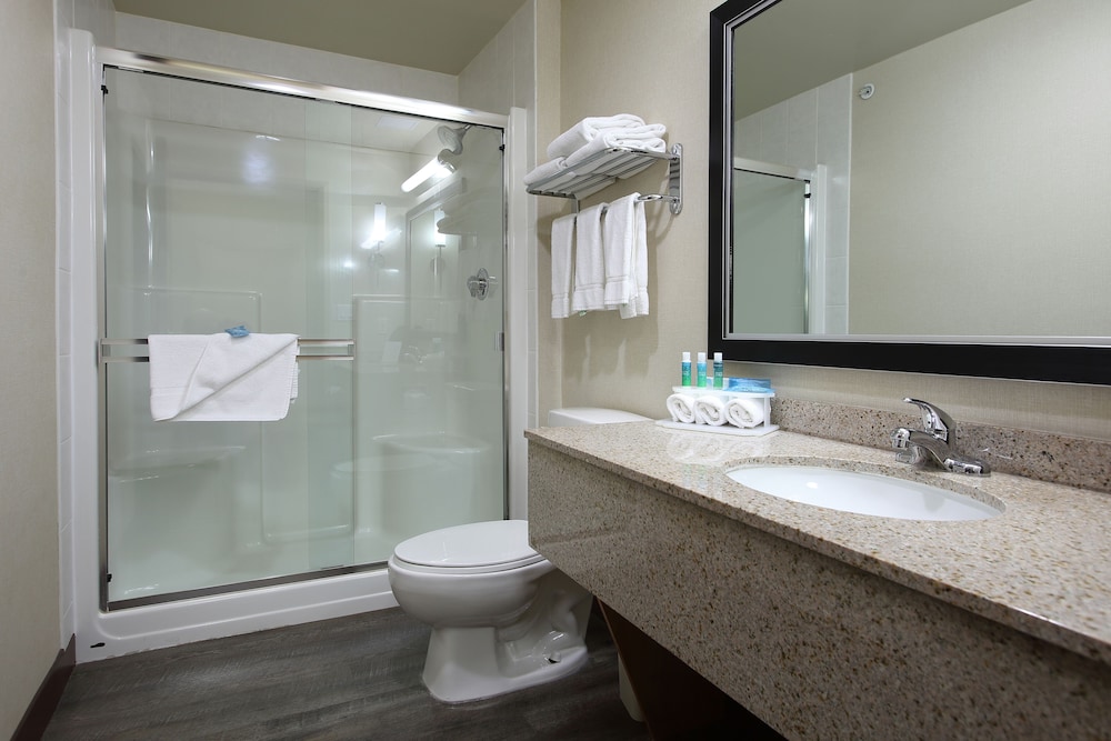 Junior Suite, 1 King Bed, City View (Wet Bar) - Photo 7