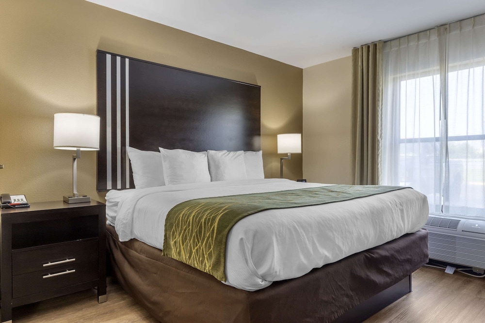 Executive Suite, 1 King Bed with Sofa Bed, Ground Floor photo 2