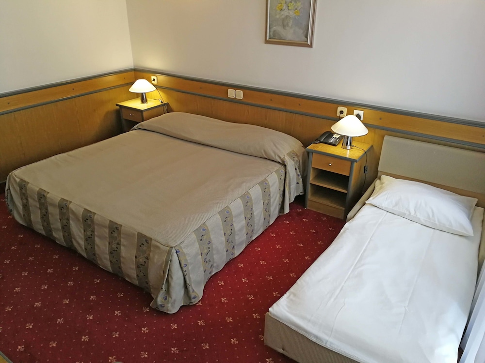 Standard Room (1/2+1) photo 1