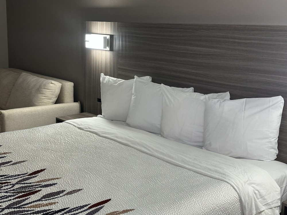 Suite, 1 King Bed, Non Smoking - Photo 2