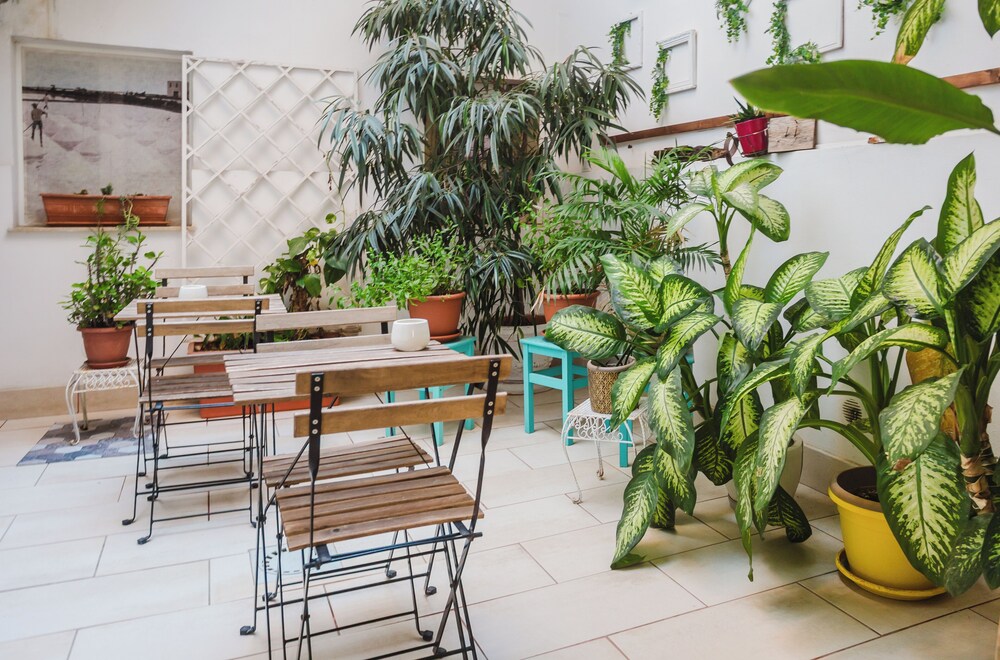 Deluxe Apartment, Patio