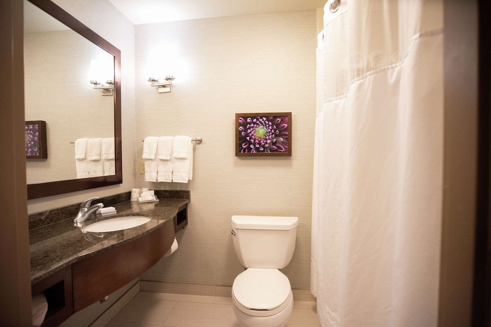 Room, 1 King Bed, Accessible, Bathtub (Mobility & Hearing) - Photo 5