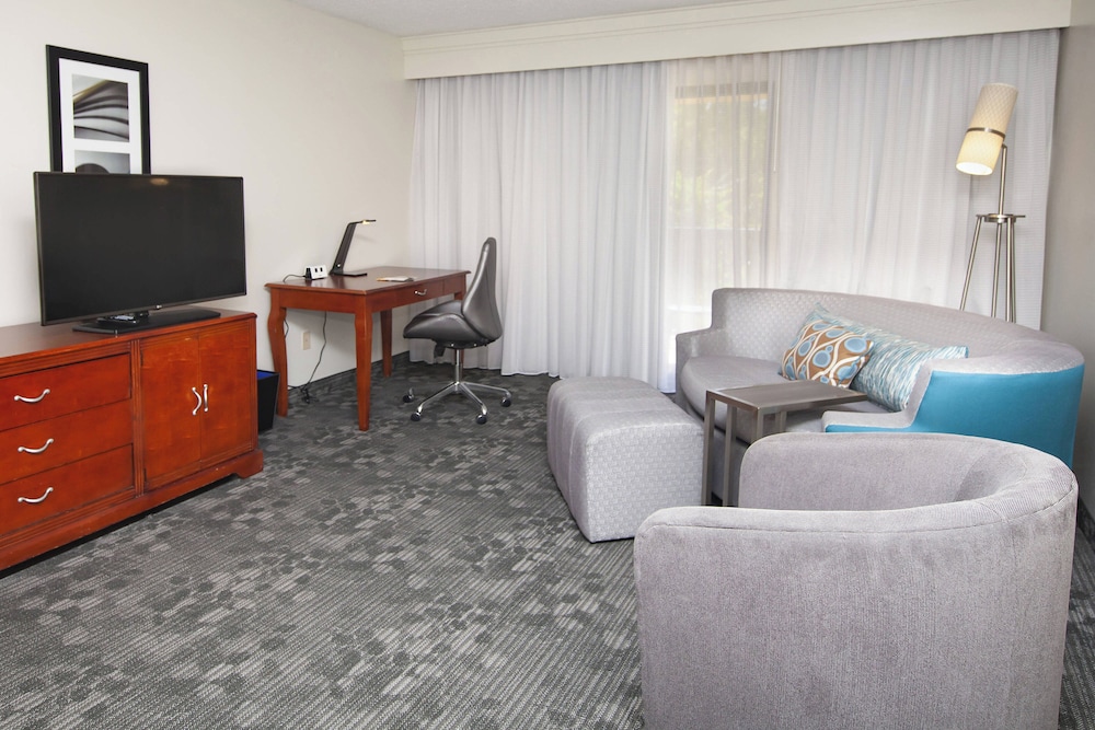 Suite, 1 King Bed with Sofa bed, Balcony photo 1