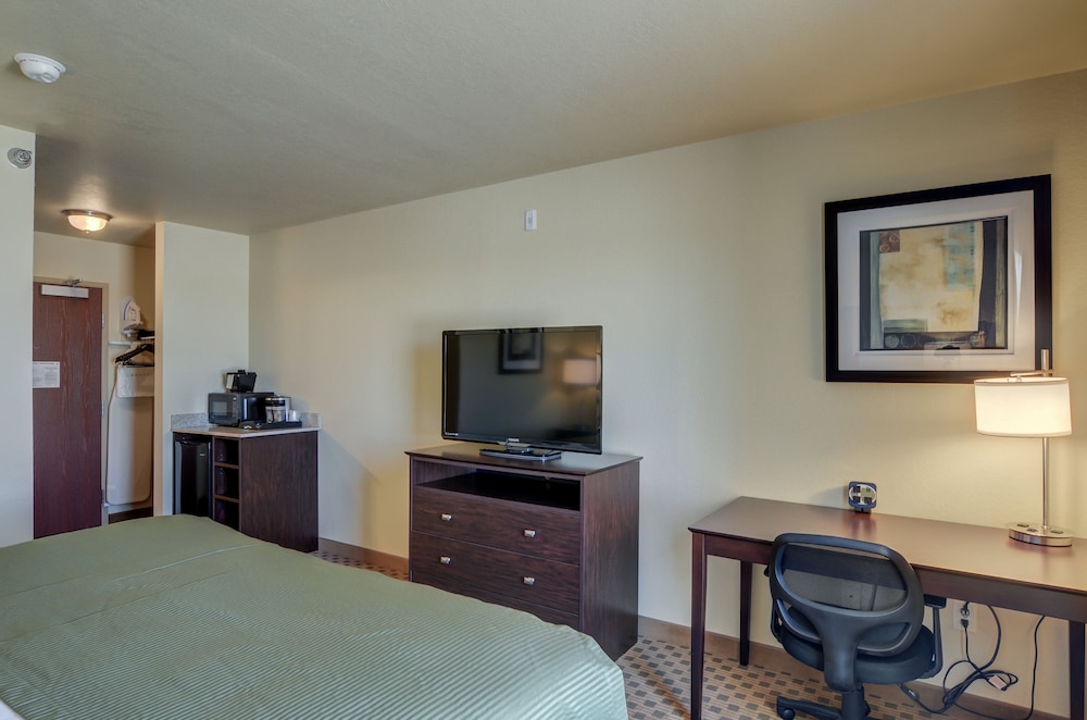 Room, 1 King Bed, Non Smoking photo 3