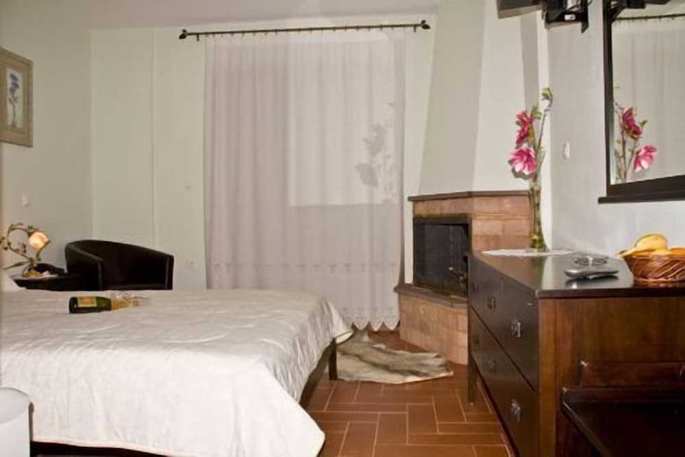 Double Room, 1 Queen Bed, Fireplace, Mountain View photo 1