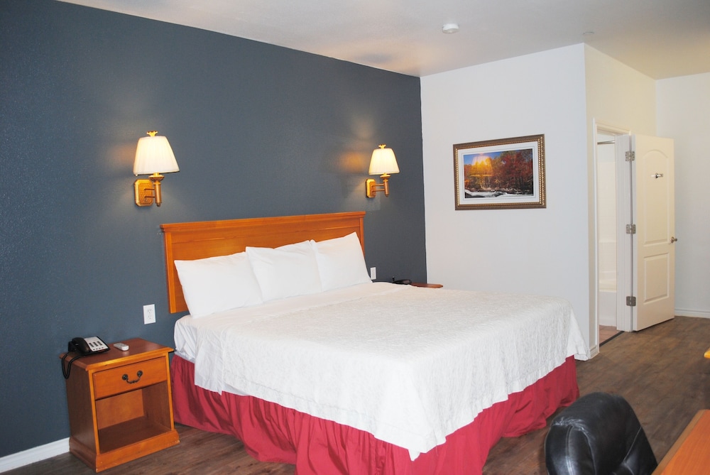 Basic Single Room, 1 King Bed