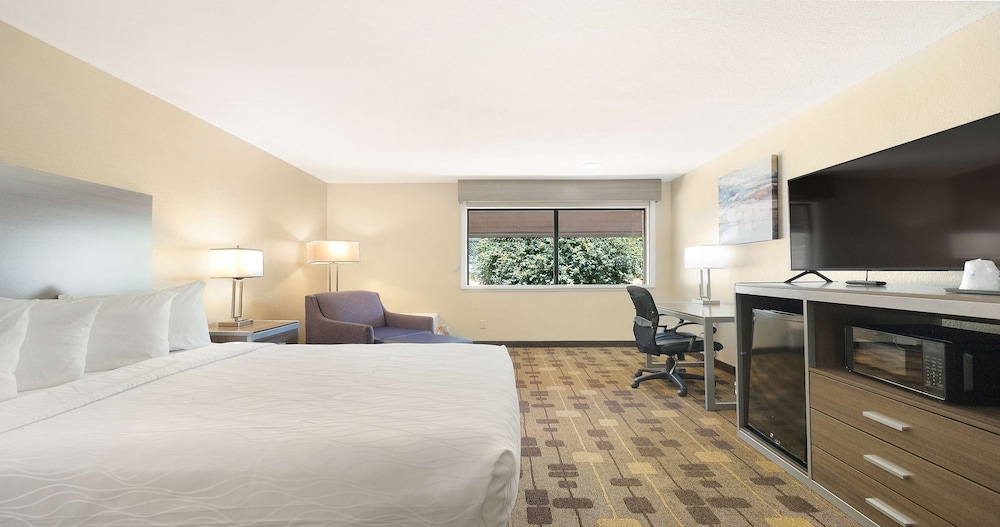 Standard Room, 1 King Bed, Non Smoking, Refrigerator & Microwave photo 2
