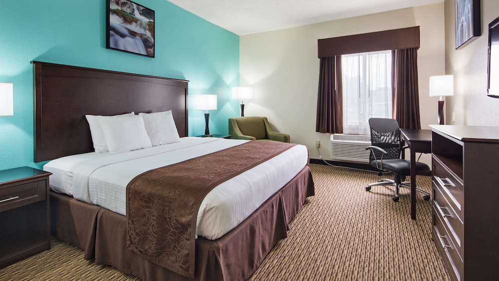 Standard Room, 1 King Bed, Non Smoking, Refrigerator & Microwave (Pet Friendly;with Sofabed)