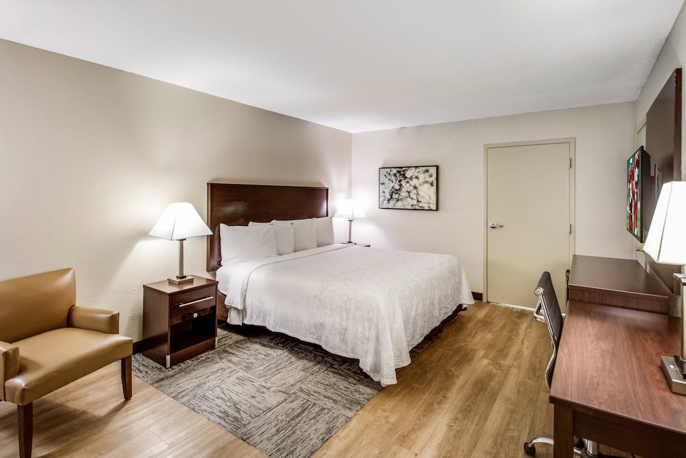 Superior Room, 1 King Bed, Accessible (Roll-In Shower, Smoke Free) - Photo 4