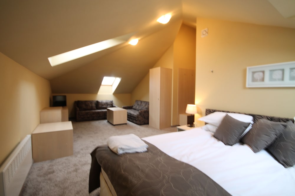 Double Room (Mansard) photo 1