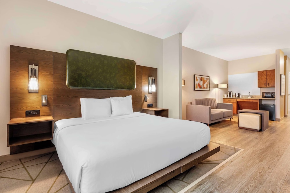 Standard Room, 1 King Bed, Accessible, Refrigerator & Microwave - Photo 1
