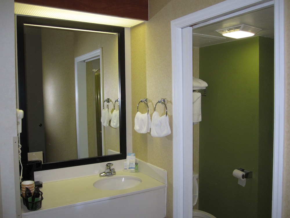 Room, 1 Queen Bed, Accessible, Non Smoking (Accessible Tub) - Photo 3