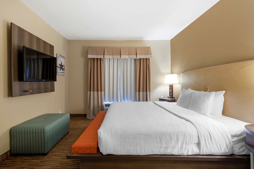 Suite, 1 King Bed, Non Smoking, Refrigerator & Microwave - Photo 4