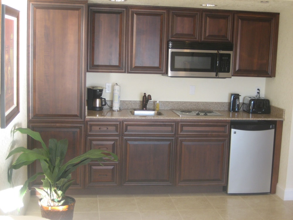Basic Suite, 1 Queen Bed photo 2