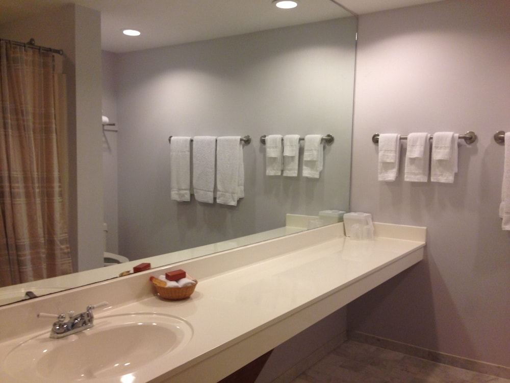 Standard Single Room photo 3