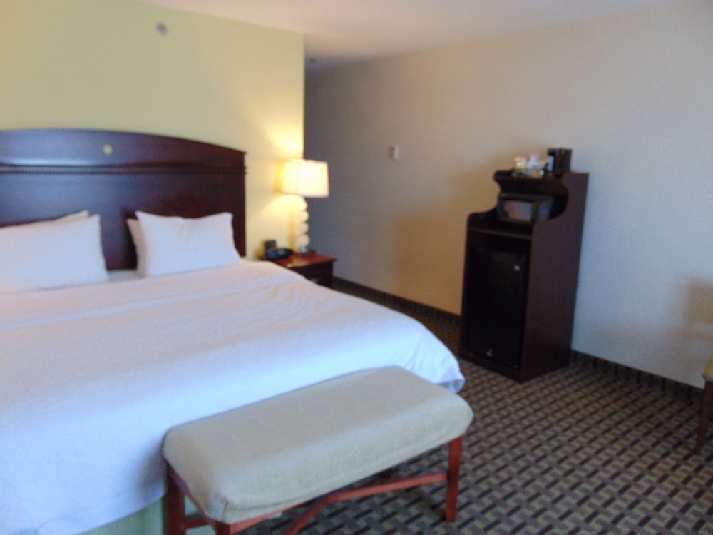 Room, 1 King Bed, Accessible - Photo 1