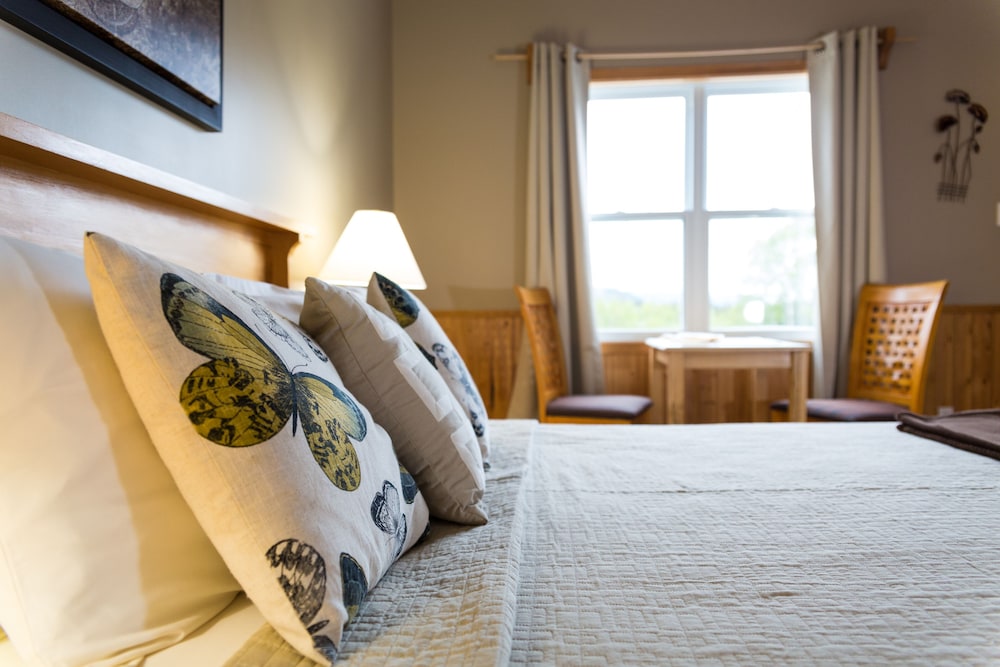 Basic Room photo 3