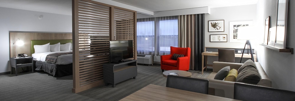 Suite, 1 King Bed, Accessible photo 1