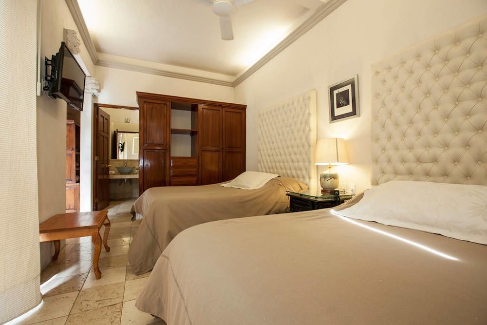 Suite (Cattleya) photo 2