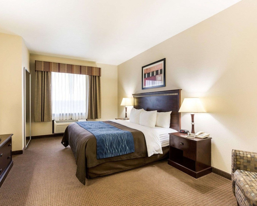 Standard Room, 1 King Bed, Non Smoking - Photo 1