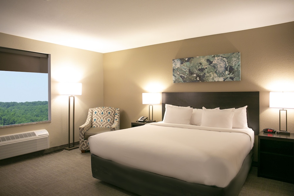 Deluxe Double Room, 1 King Bed, Accessible, Refrigerator & Microwave photo 2