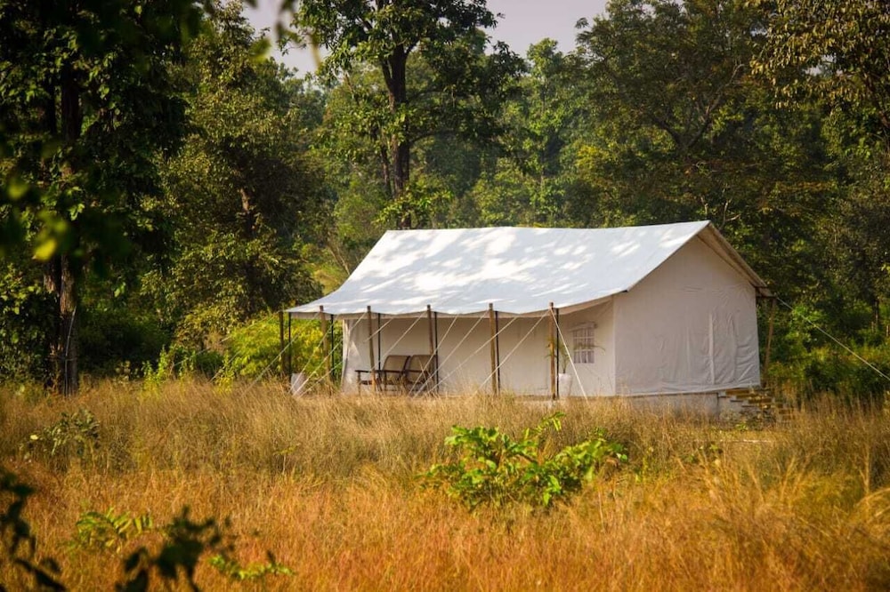 Premier Tent, Mountain View photo 2