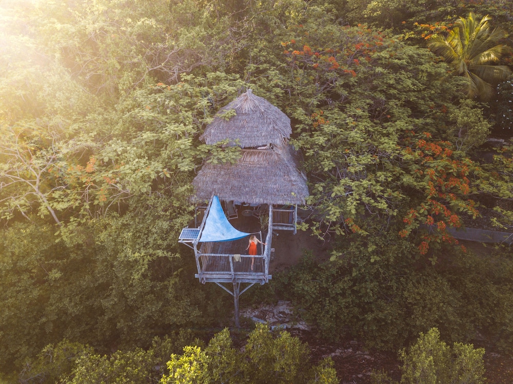Family Tree House (Saba) photo 1
