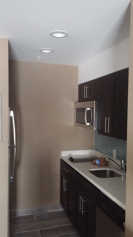Suite, 1 King Bed, Accessible (Roll-in Shower) photo 2