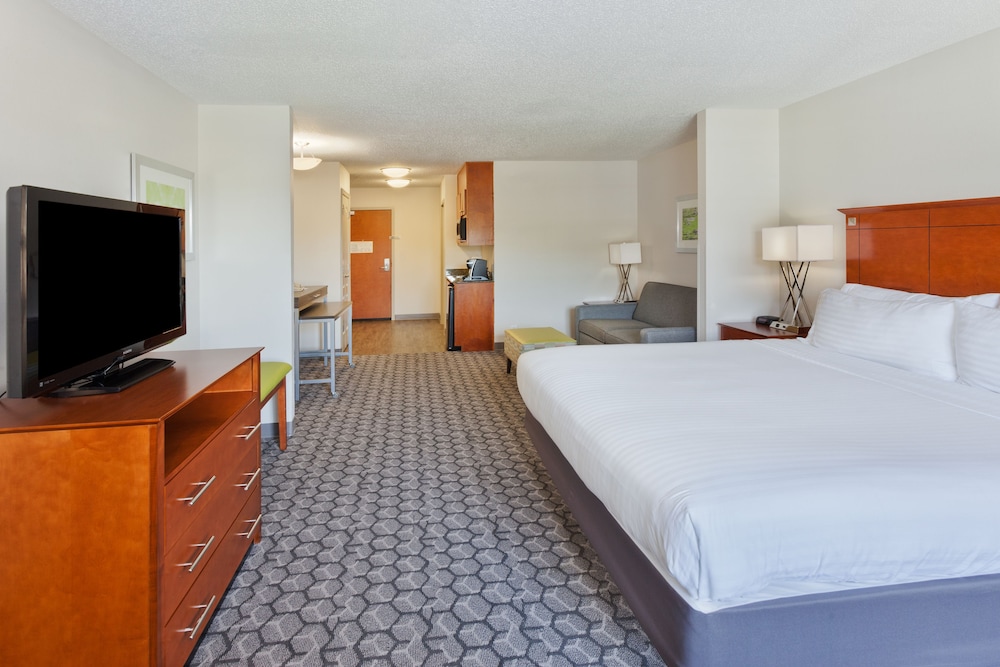 Suite, 1 King Bed with Sofa bed (Additional Living Area) - Photo 7