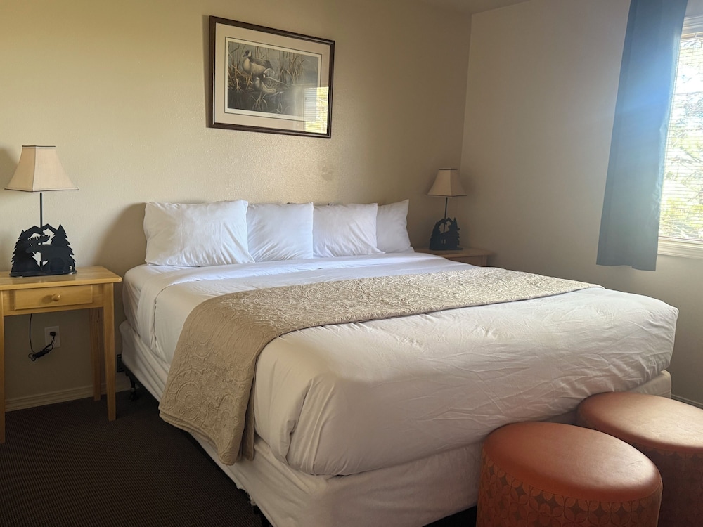 Suite, 1 Bedroom (Pet Friendly) photo 1