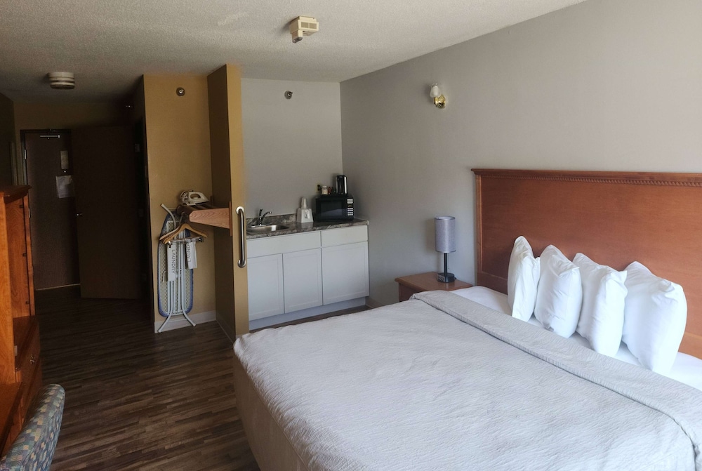 Deluxe Room, 1 King Bed, Accessible, Non Smoking (Roll-In Shower) photo 1