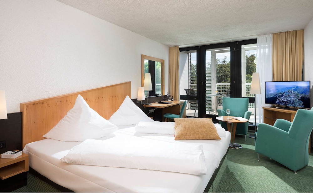 Comfort Room, 1 Double Bed, Balcony, Park View photo 2