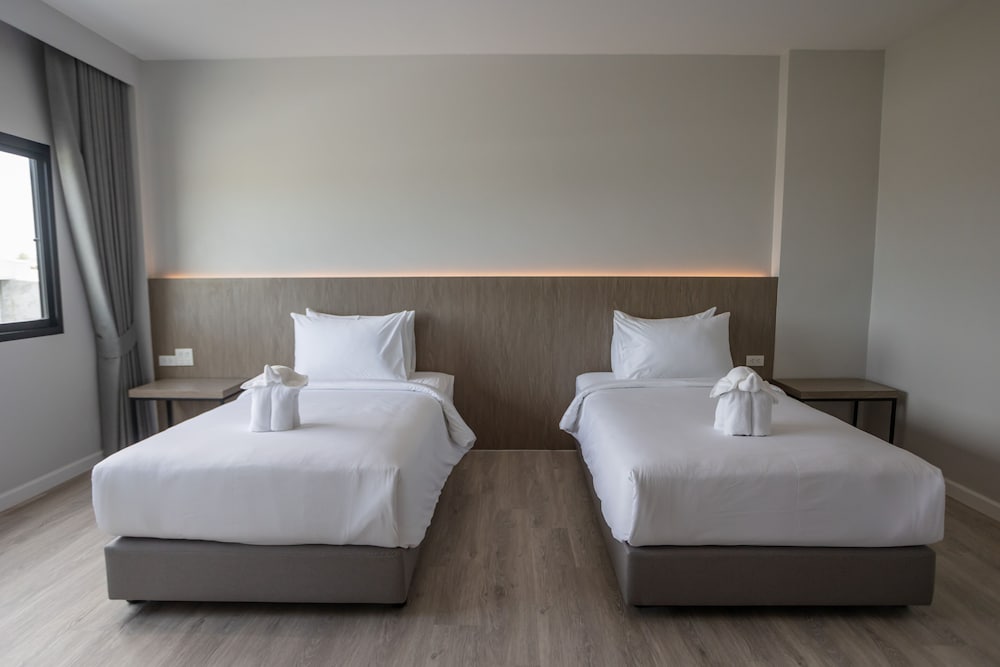 Basic Twin Room photo 1