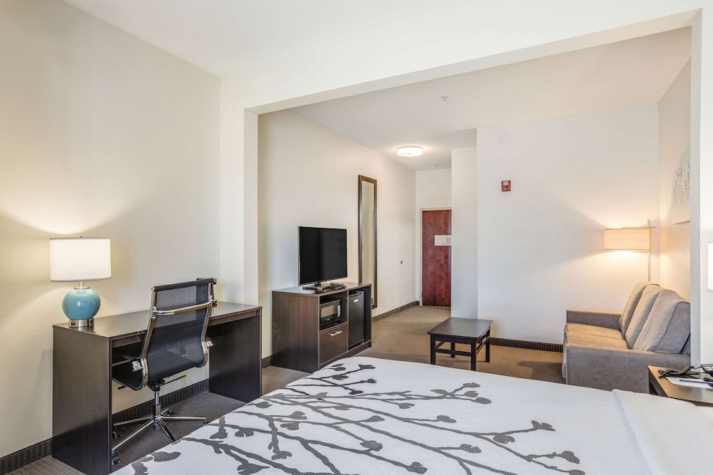 Suite, 1 King Bed with Sofa bed, Non Smoking photo 3