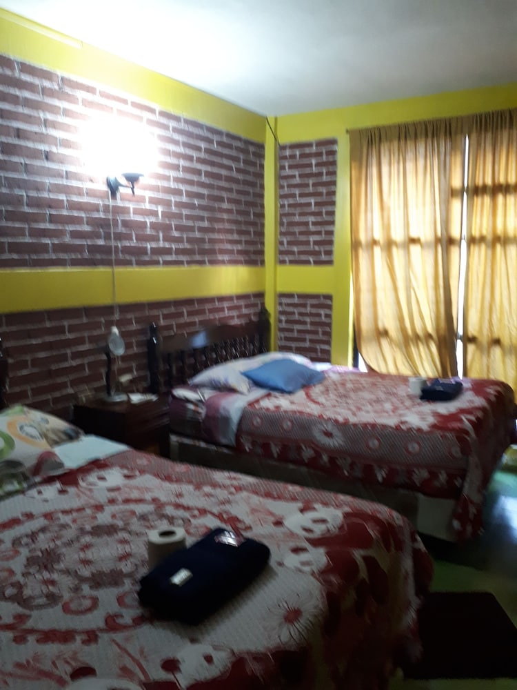 Comfort Apartment photo 2