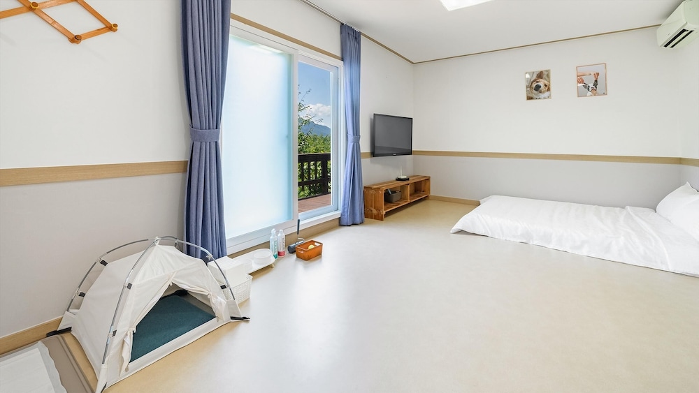 Basic Room, 1 Bedroom (Poodle4) photo 3