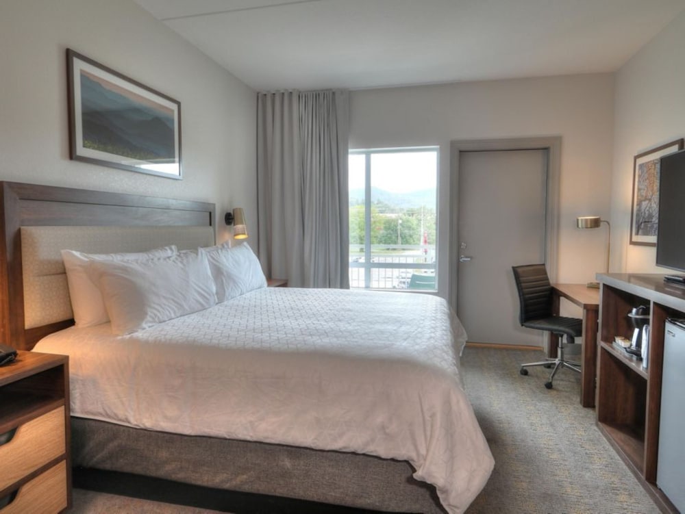 Premium Room, 1 King Bed, Balcony (Parkway View) - Photo 9