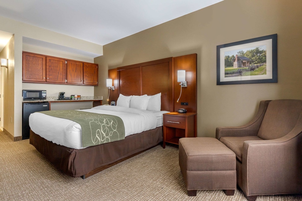 Suite, 1 King Bed, Non Smoking - Photo 7