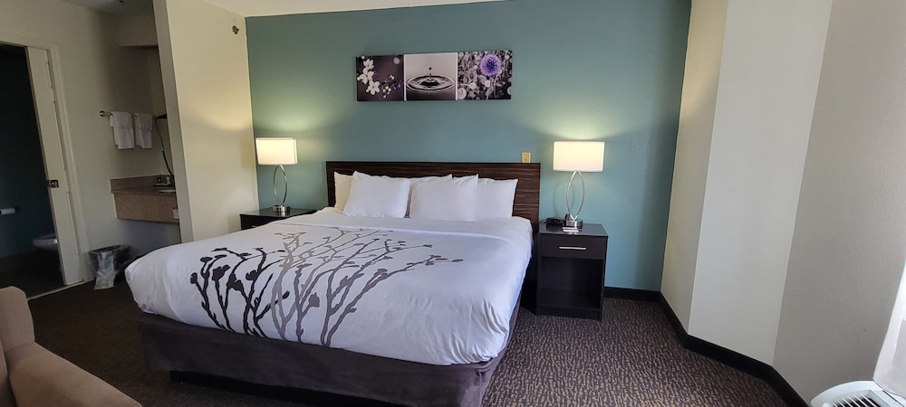 Standard Room, 1 King Bed, Non Smoking - Photo 3