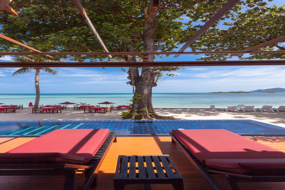 Ocean Front Villa with Private Pool - Photo 15