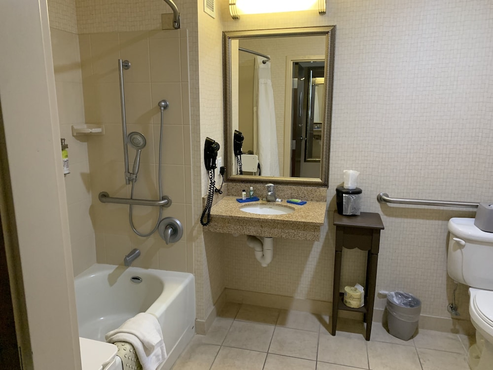 Room, 1 King Bed with Sofa bed, Accessible, Non Smoking (Comm, Mobil, Access Tub) photo 3