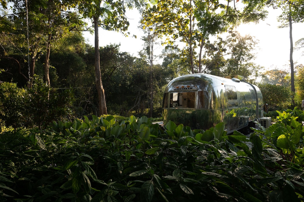 Comfort Cabin - Photo 8