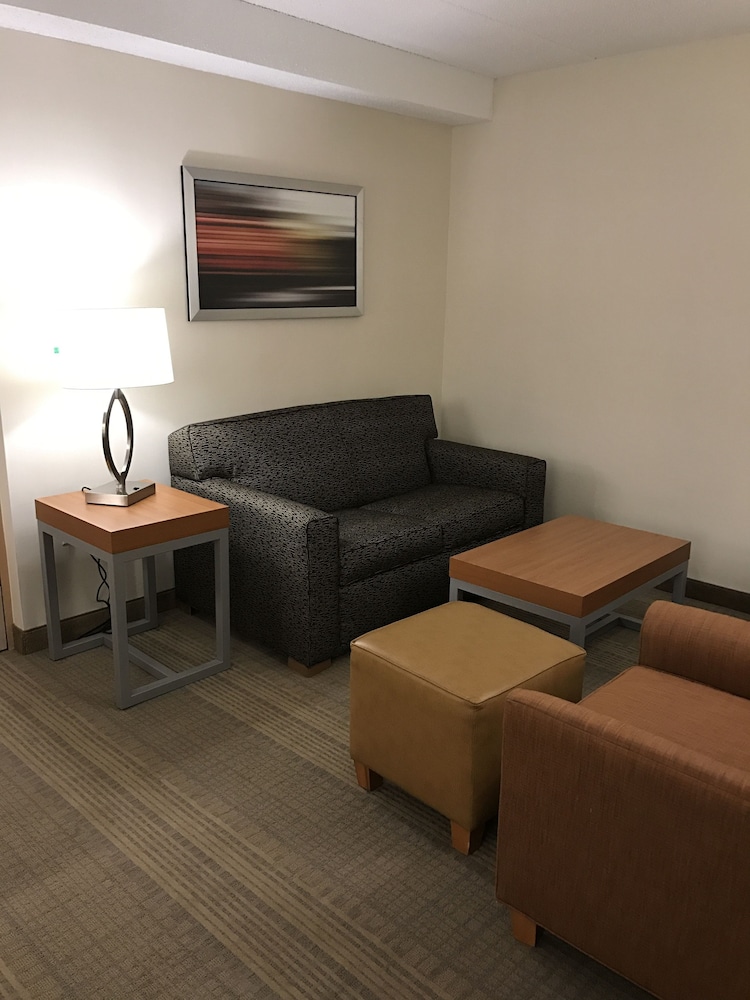 Holiday Inn & Suites Bolingbrook by IHG, Foto 3